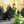 CSHS 2025 Senior Graduation Photos $25